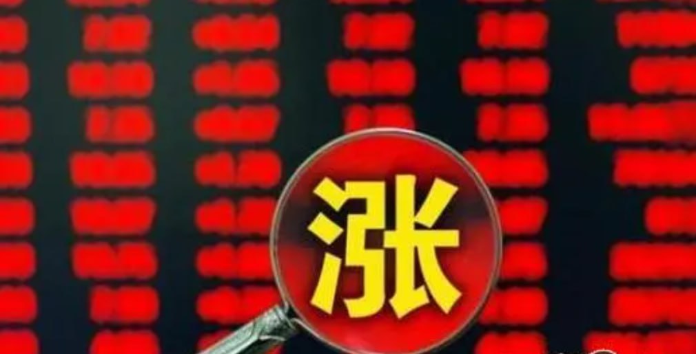 苏豪控股集团召开财务信息系统升级暨司库管理系统一期上线启动会