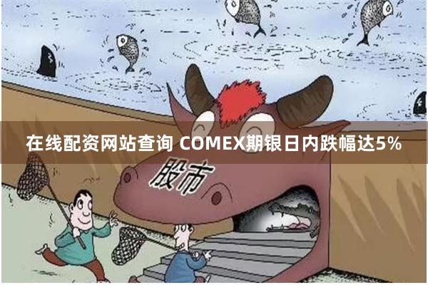 在线配资网站查询 COMEX期银日内跌幅达5%